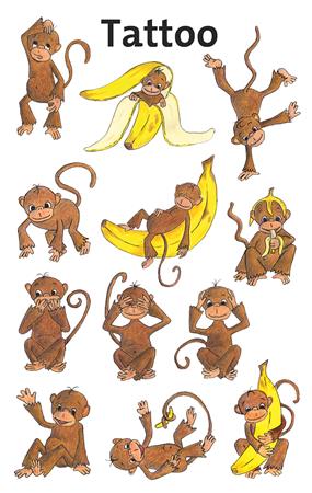 Matrica, tetoválás, 1 ív, 76x120 mm, AVERY ZWECKFORM, "Z-Design No.56766", majom